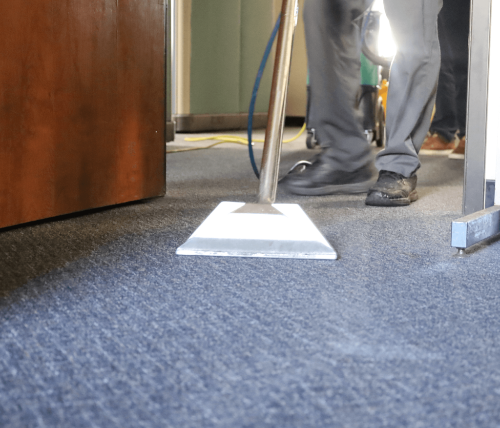 Technician cleaning commercial carpet with professional equipment